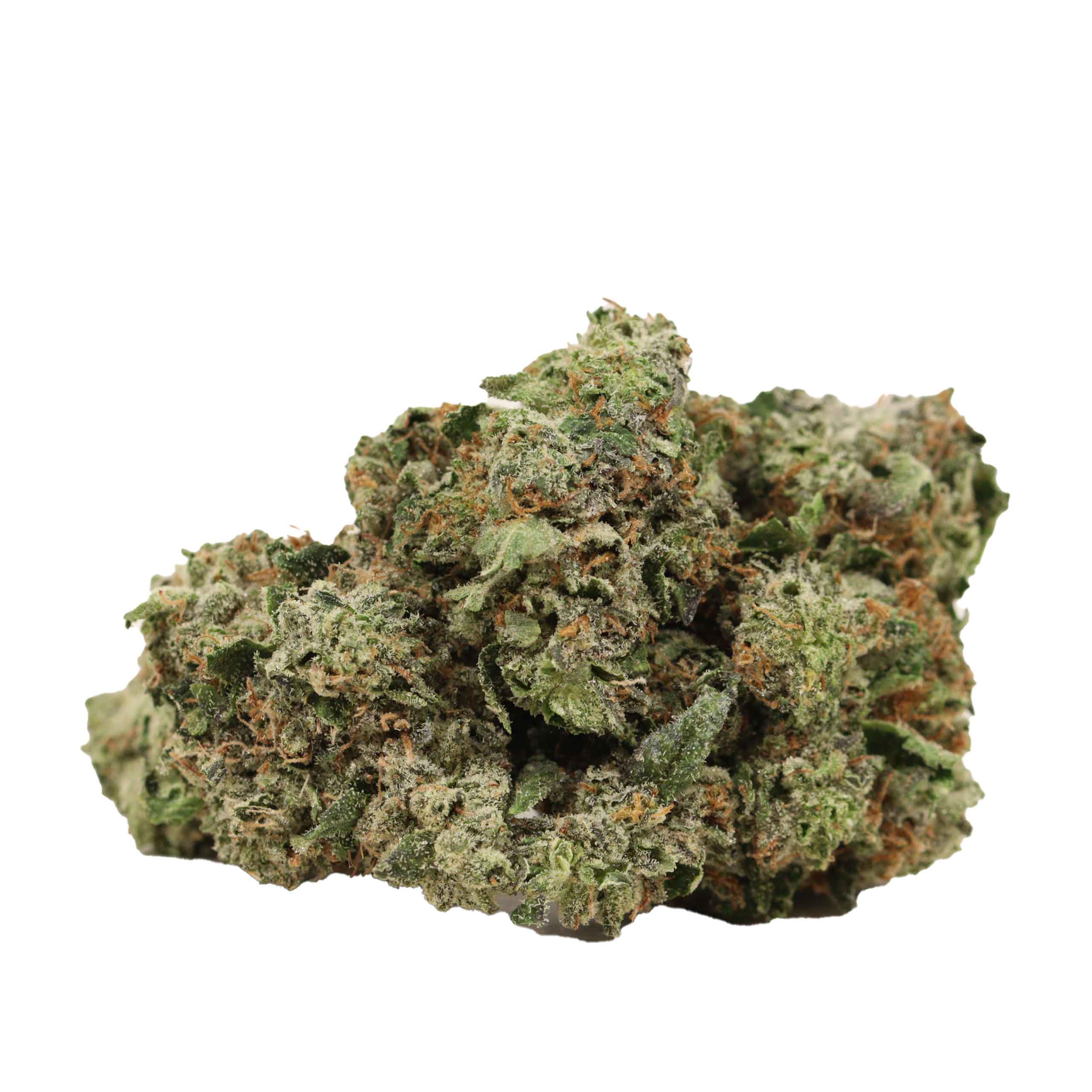 Afghani Pink strain cannabis
