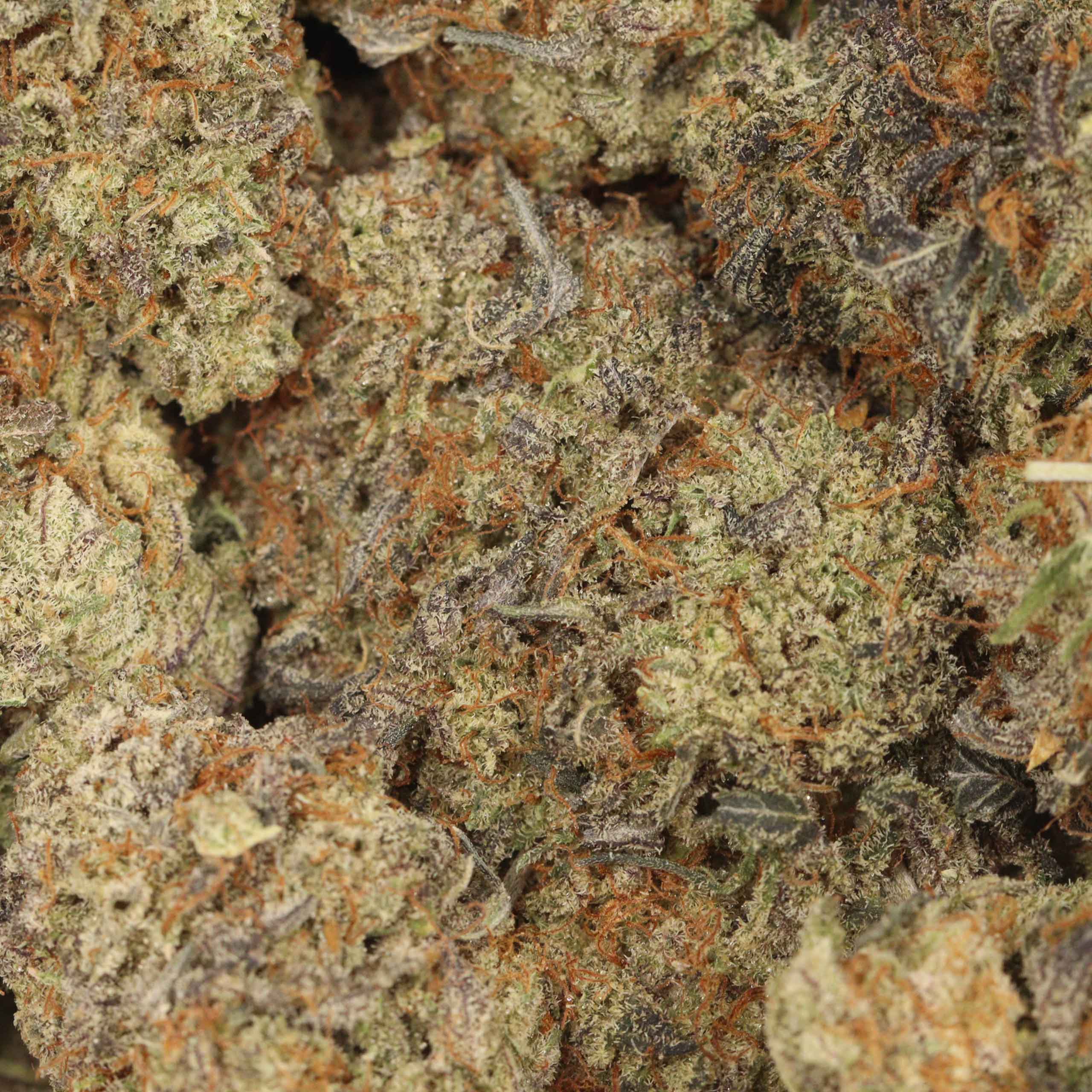 Banana Runtz - Image 3