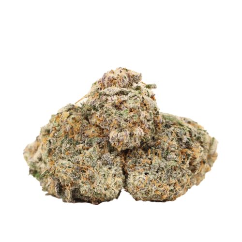 Black Kush strain cannabis