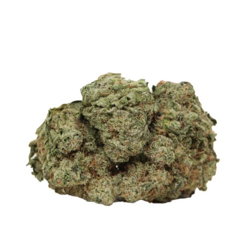 Blue Cheese strain cannabis