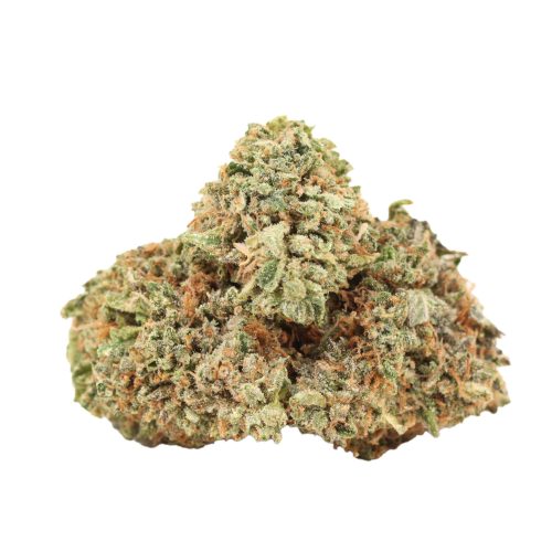 Blueberry Kush strain cannabis