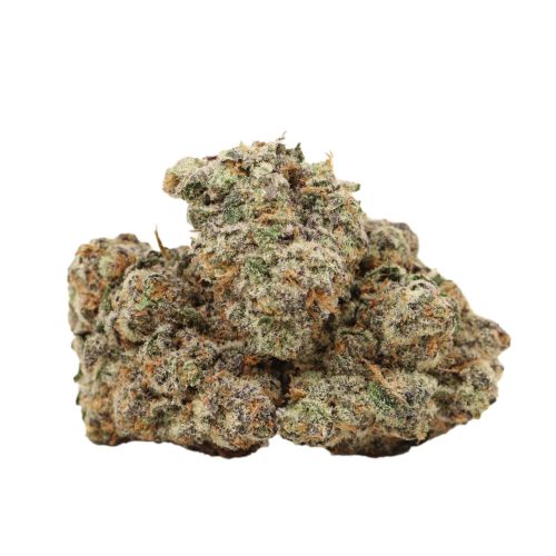 Bombsicle craft strain cannabis