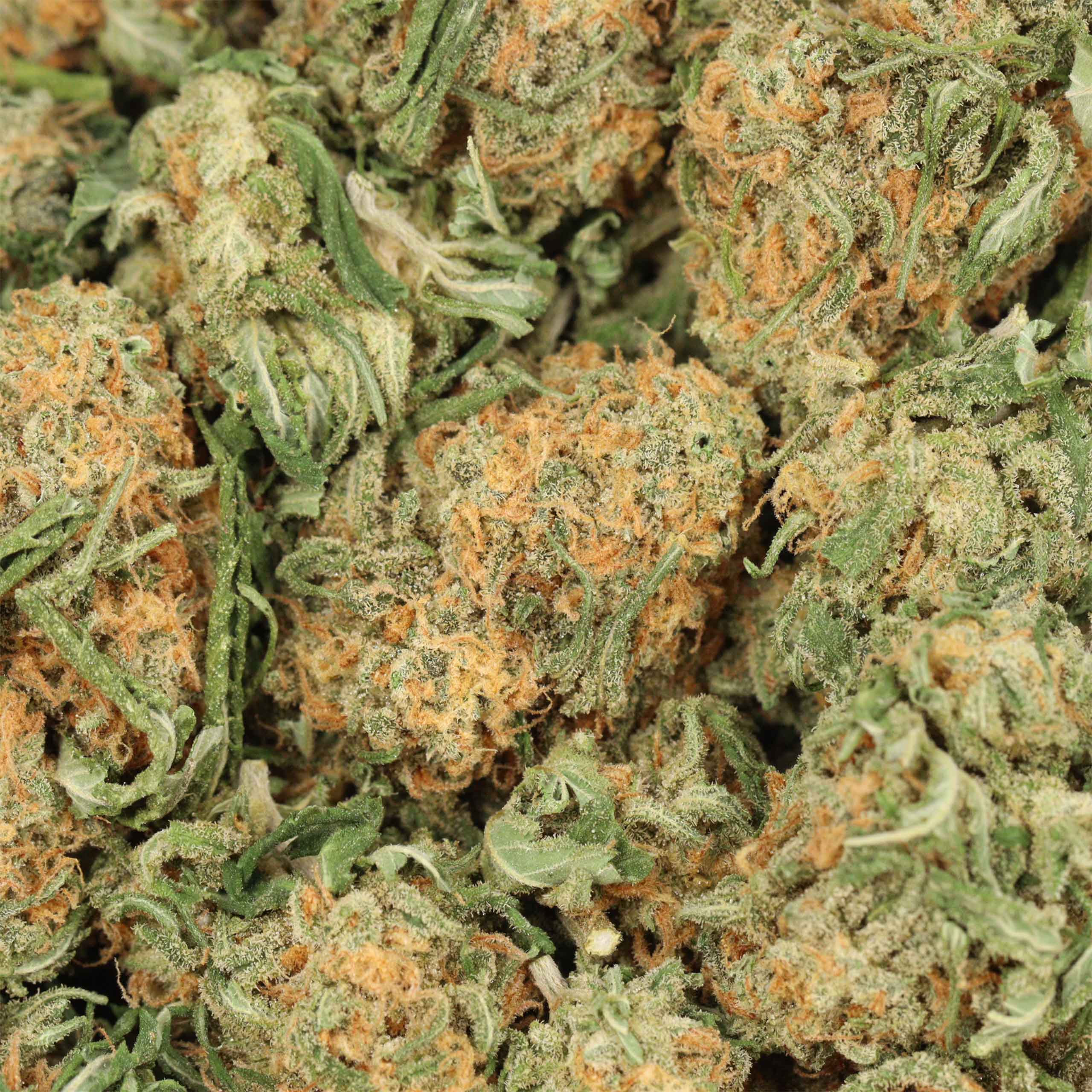 Bubba Kush - Image 3