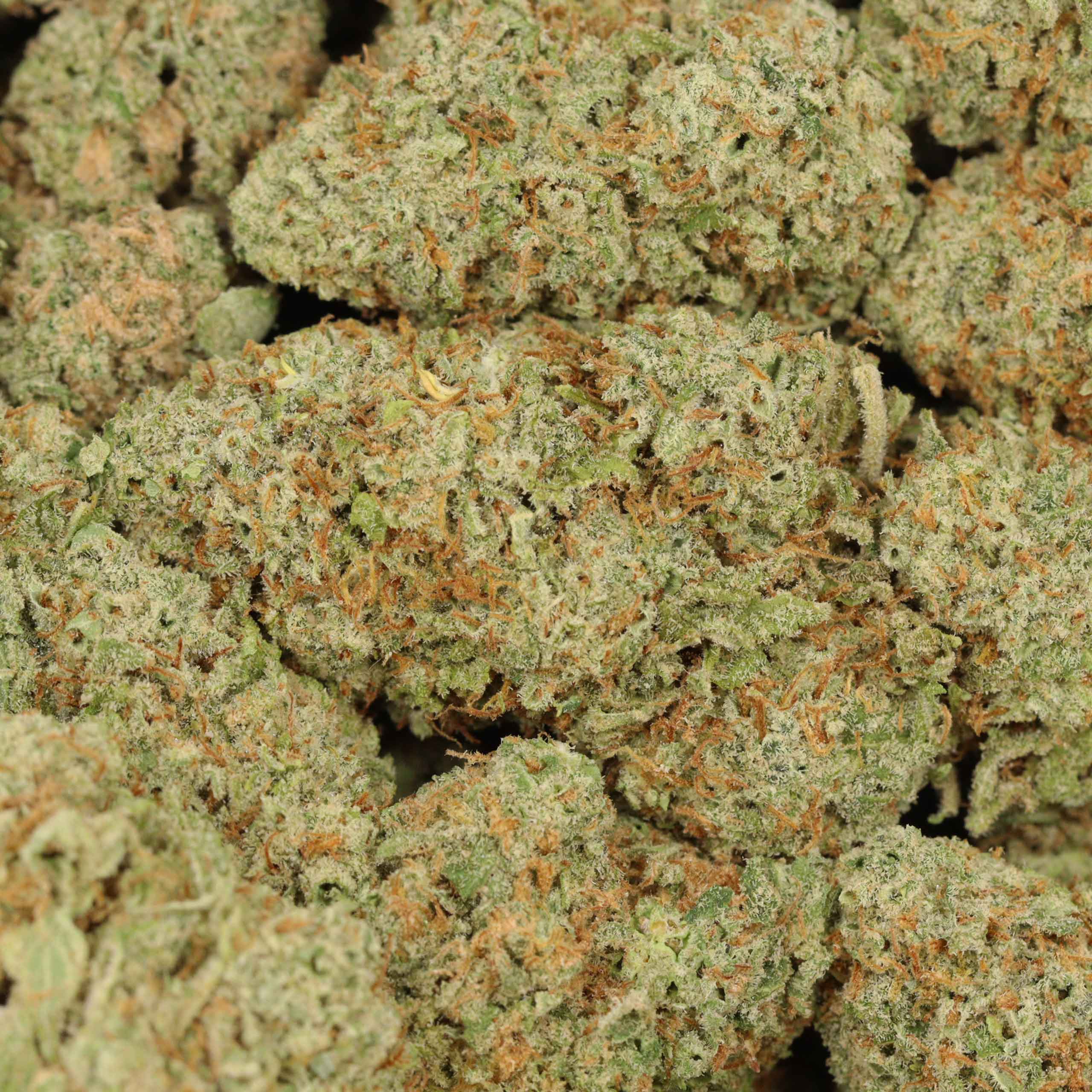 Candy Apple - Image 3