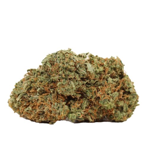 Casey Jones strain cannabis