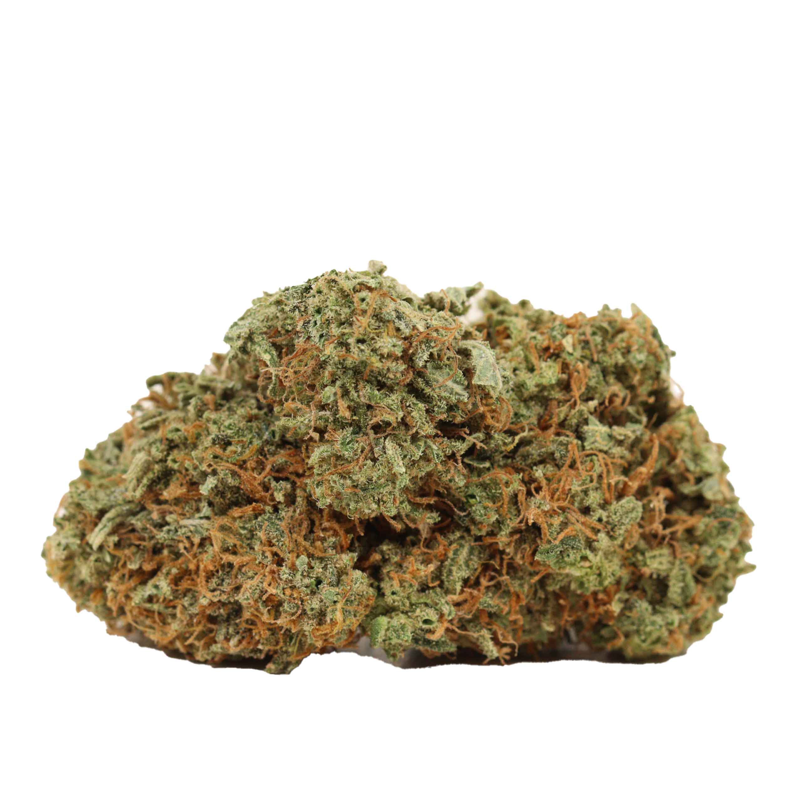 Casey Jones strain cannabis