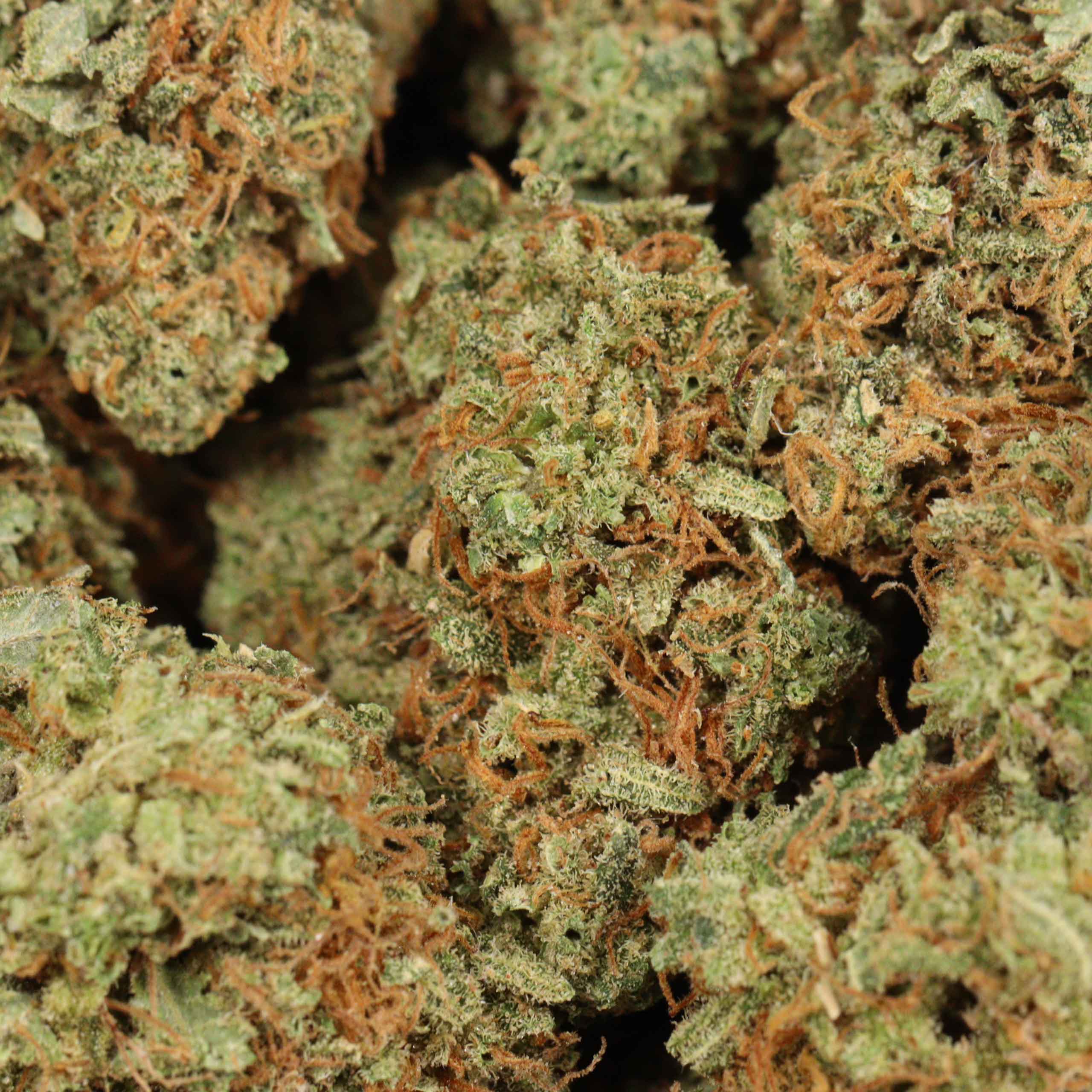 Casey Jones - Image 3