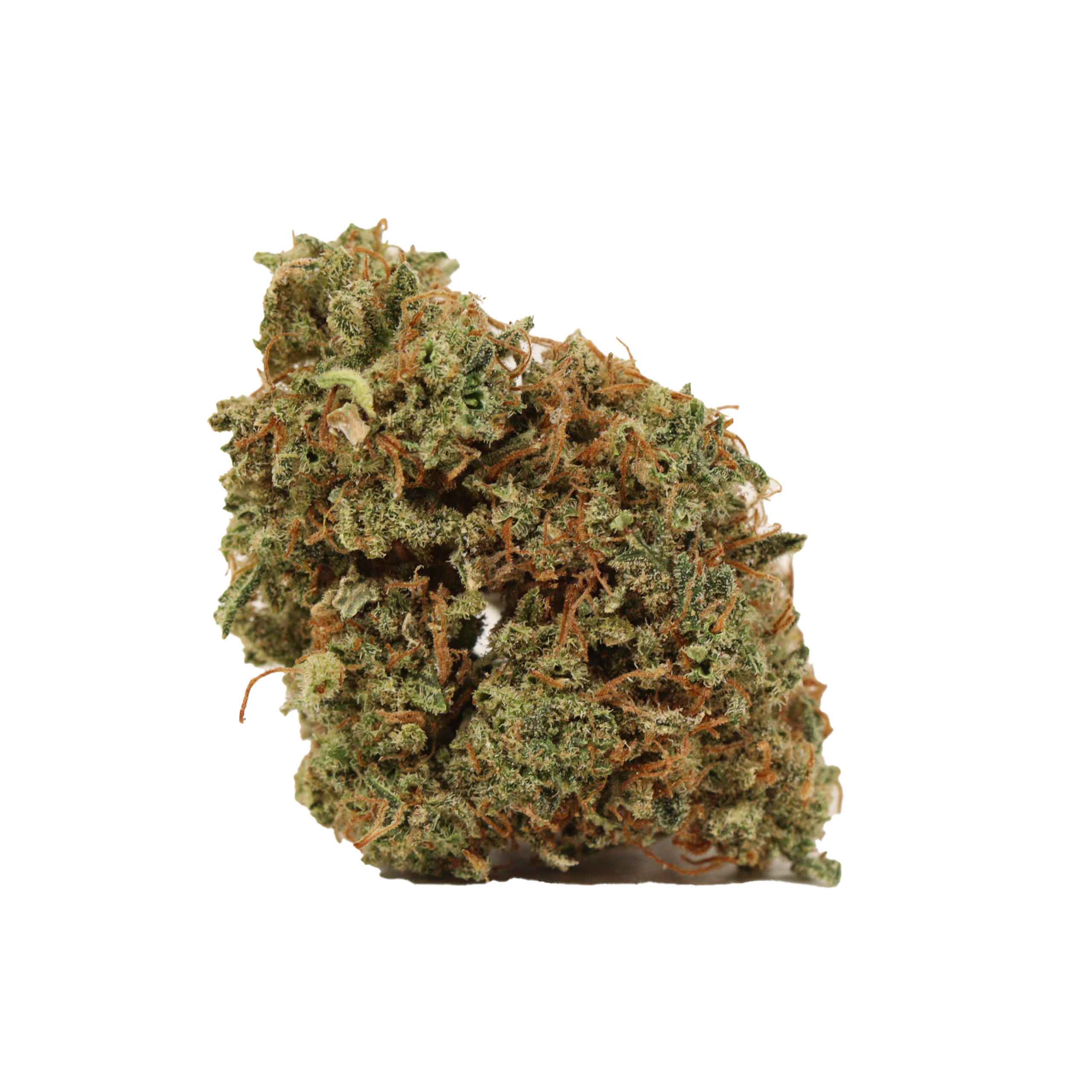 Casey Jones - Image 2