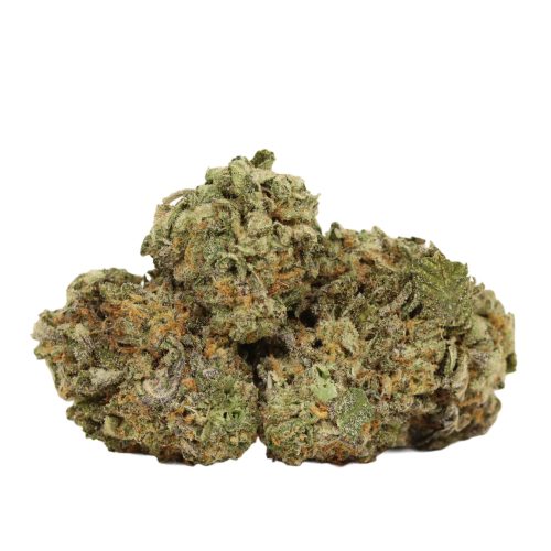 Coma Kush strain cannabis