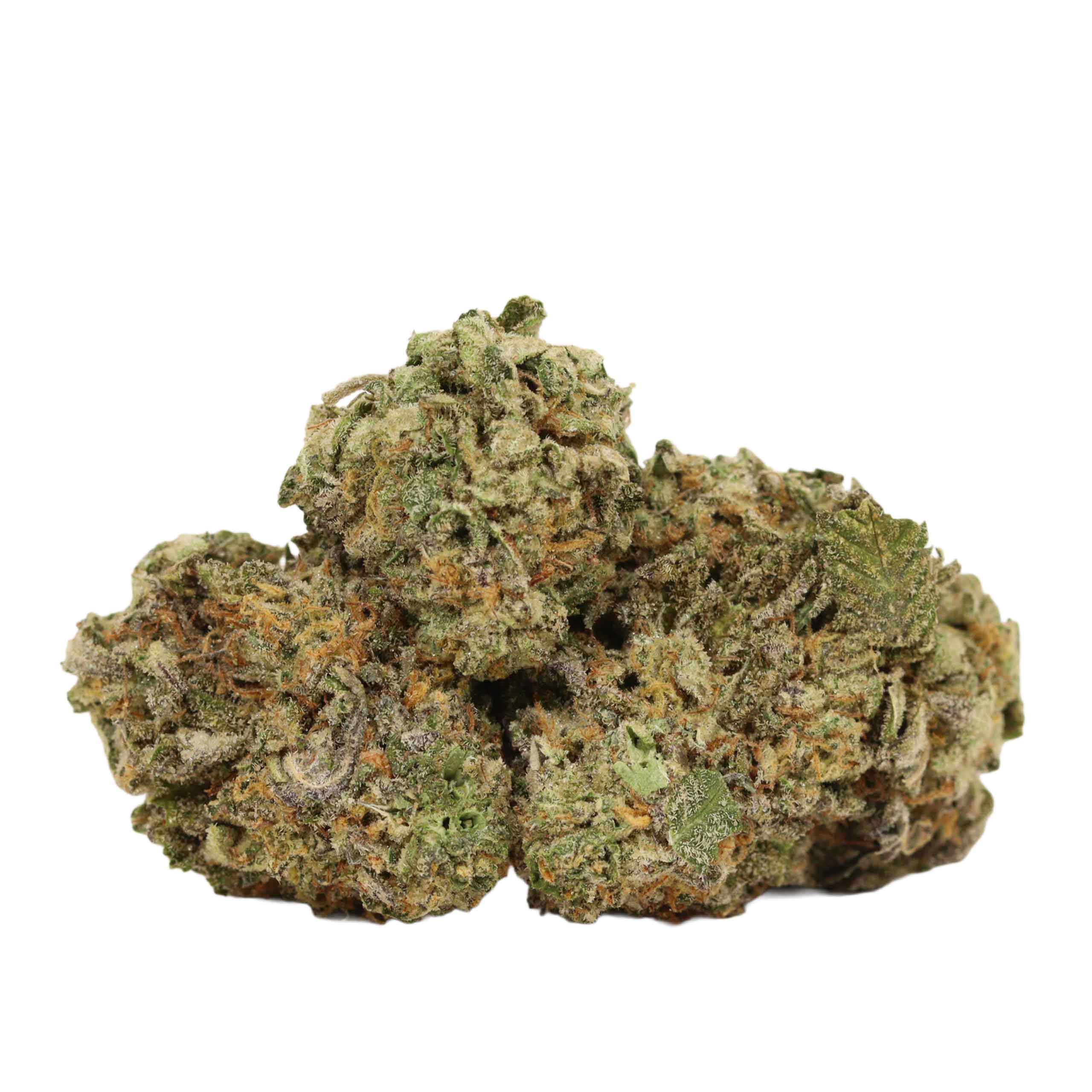 Coma Kush strain cannabis
