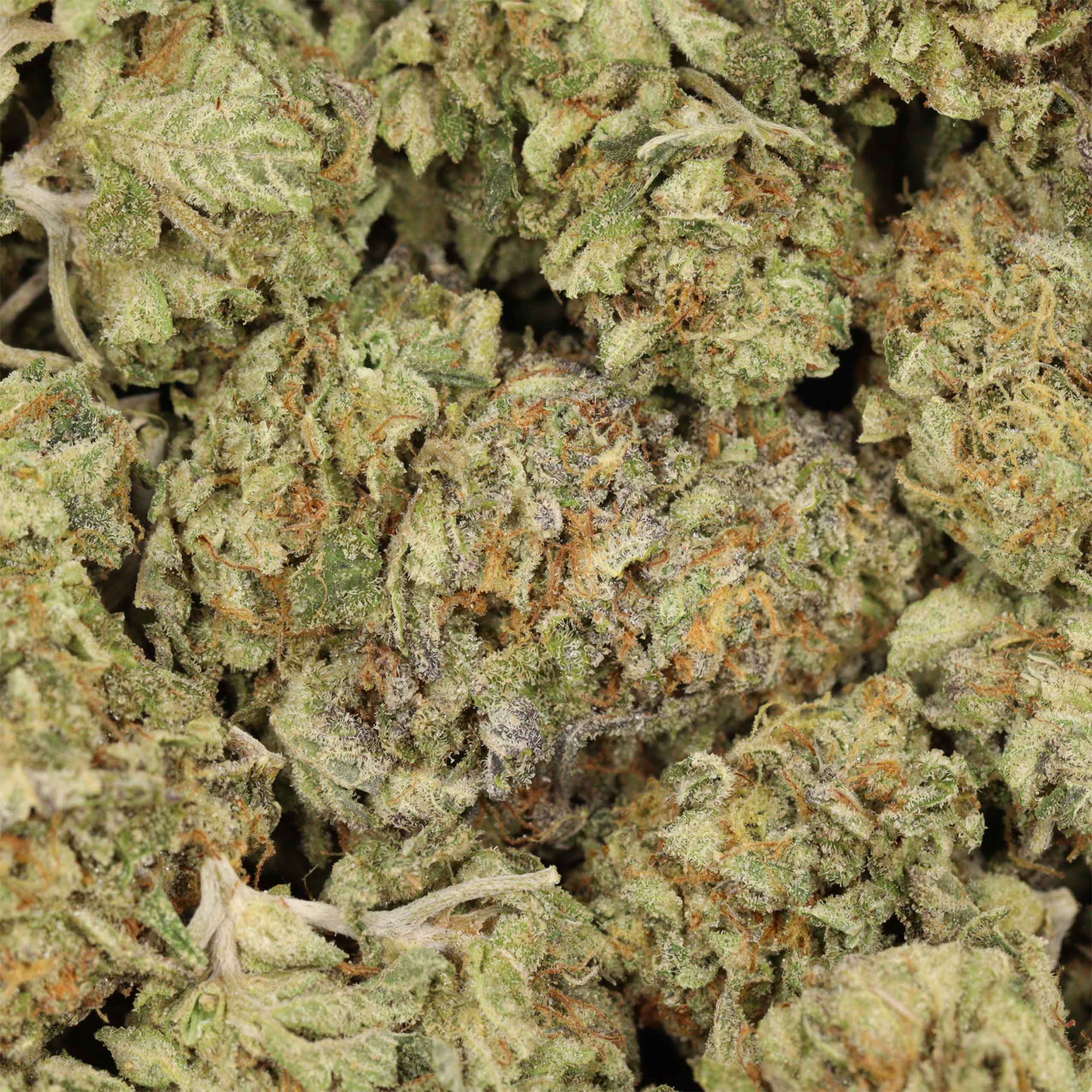 Coma Kush - Image 3