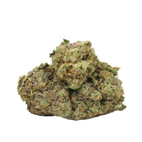 Dairy Queen strain cannabis