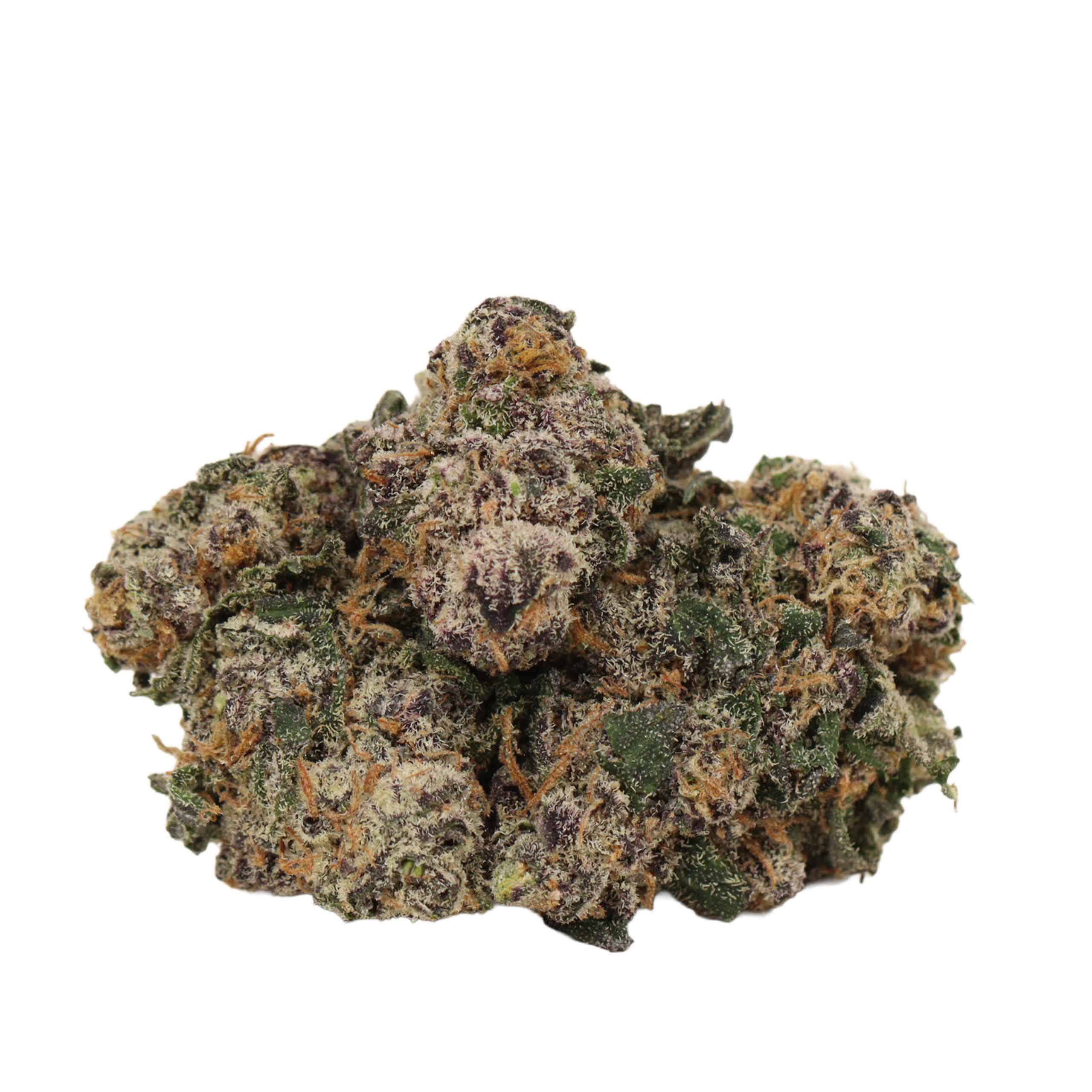 Dank Sinatra strain cannabis