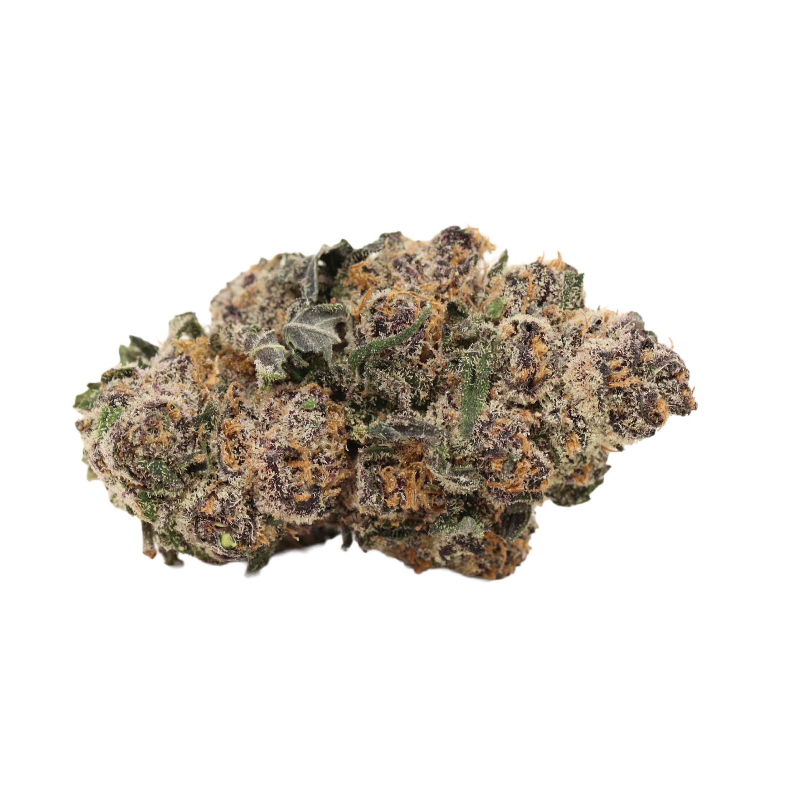 Dank Sinatra - Image 2