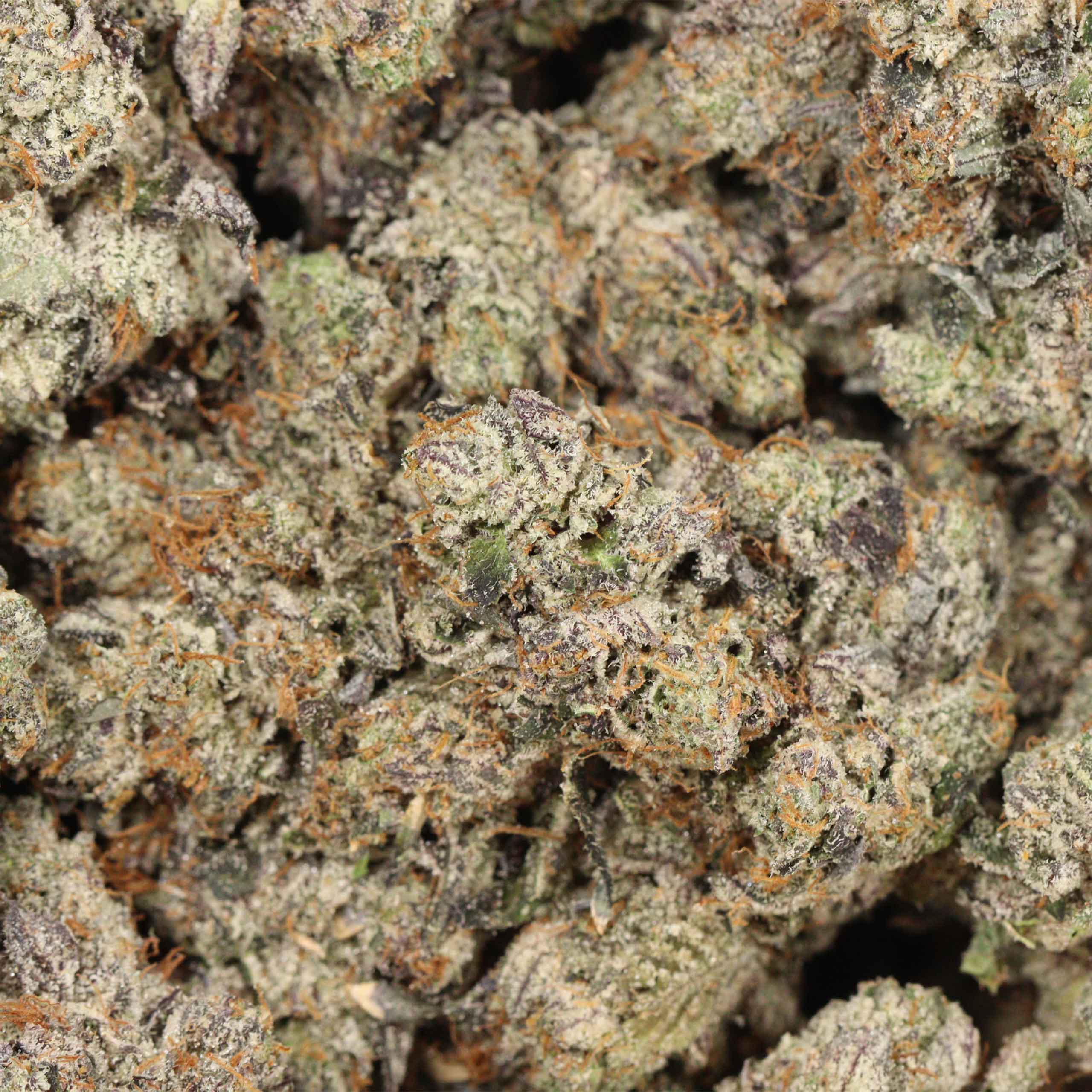 Doughboy Pink Craft cannabis wholesale