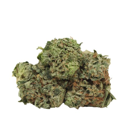 Death Tuna strain cannabis
