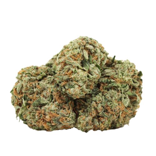 EL Jefe strain cannabis