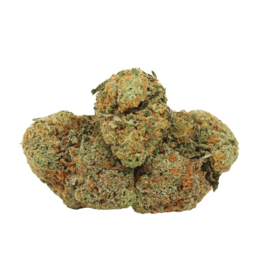 Girl Scout Cookies strain cannabis
