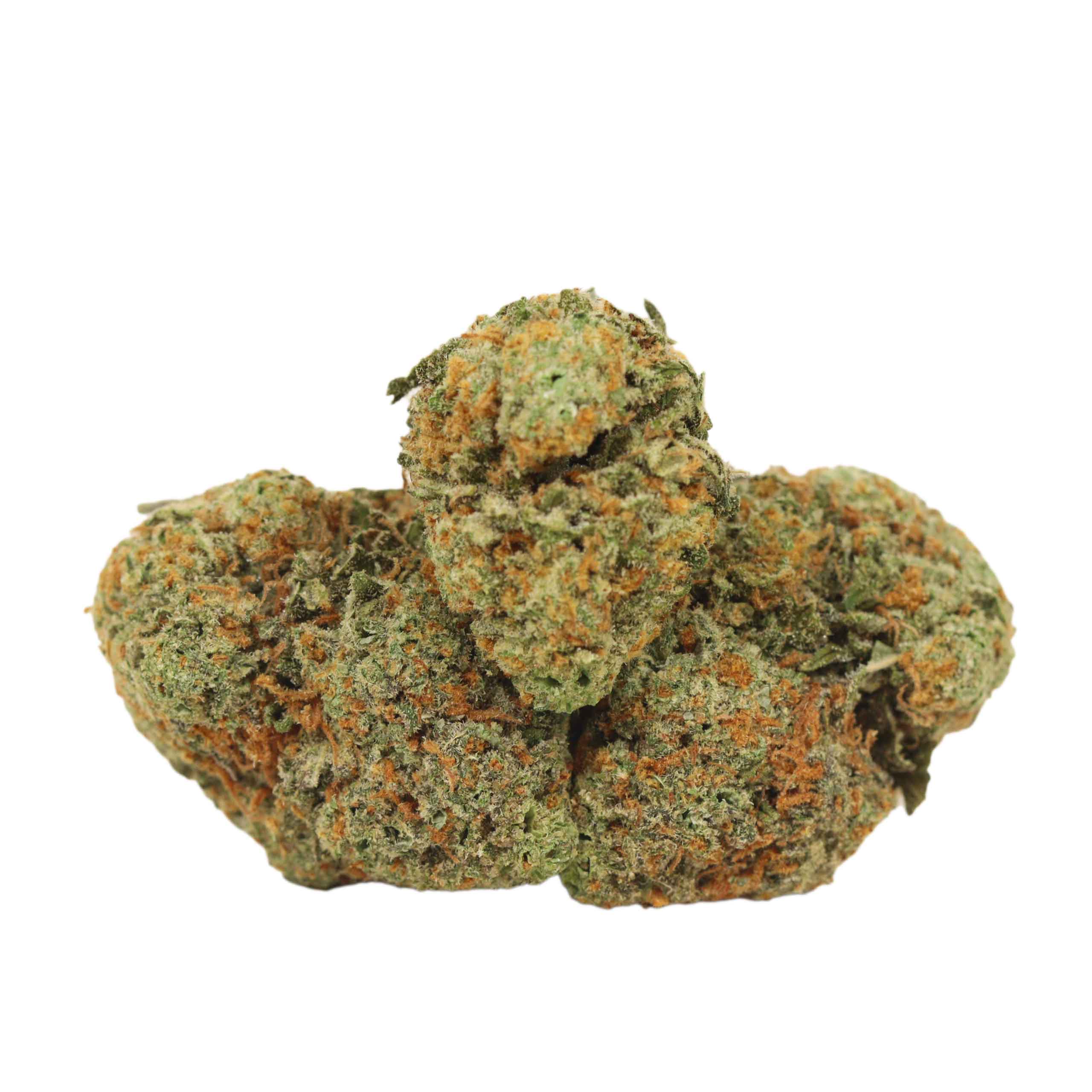 Girl Scout Cookies strain cannabis
