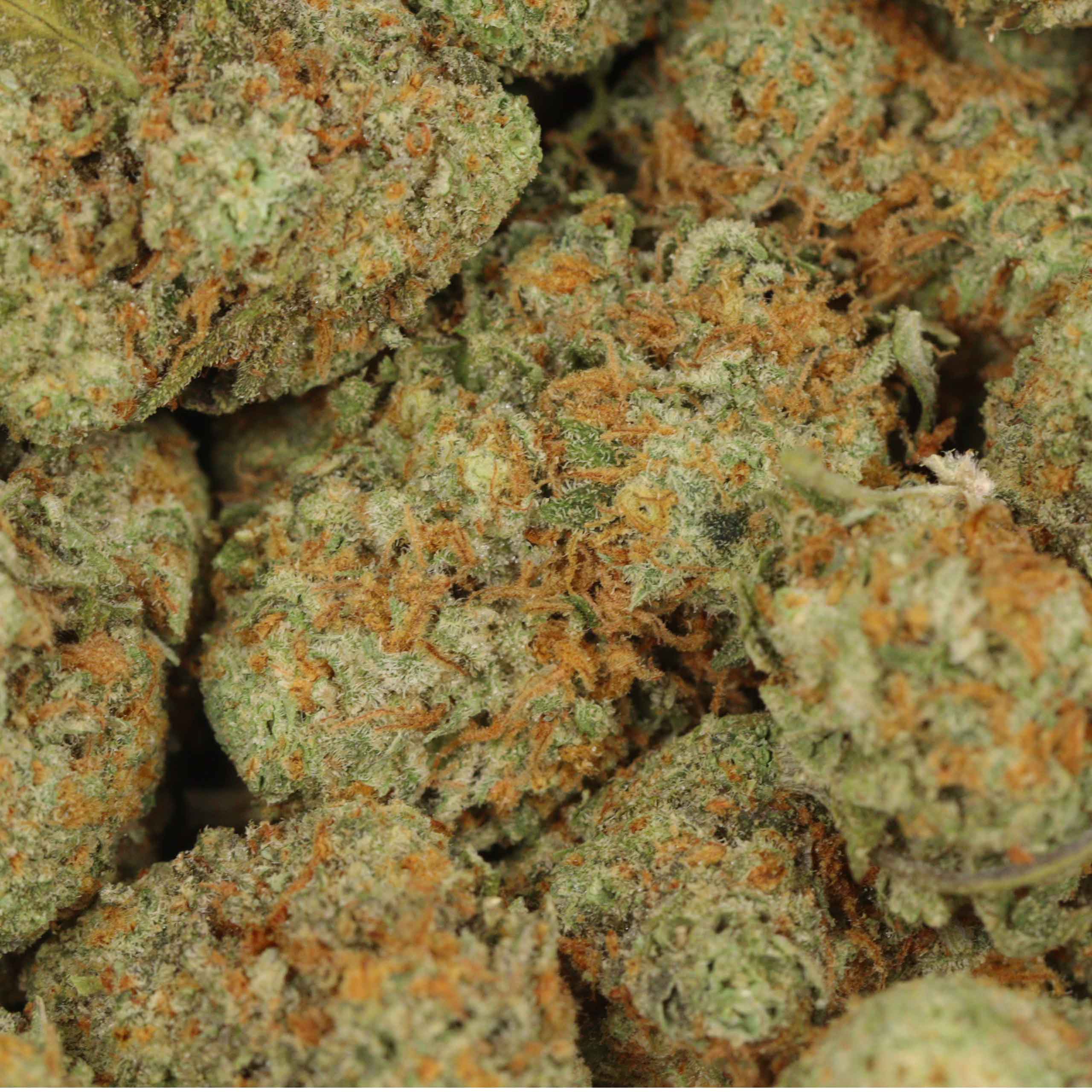 Girl Scout Cookies - Image 3