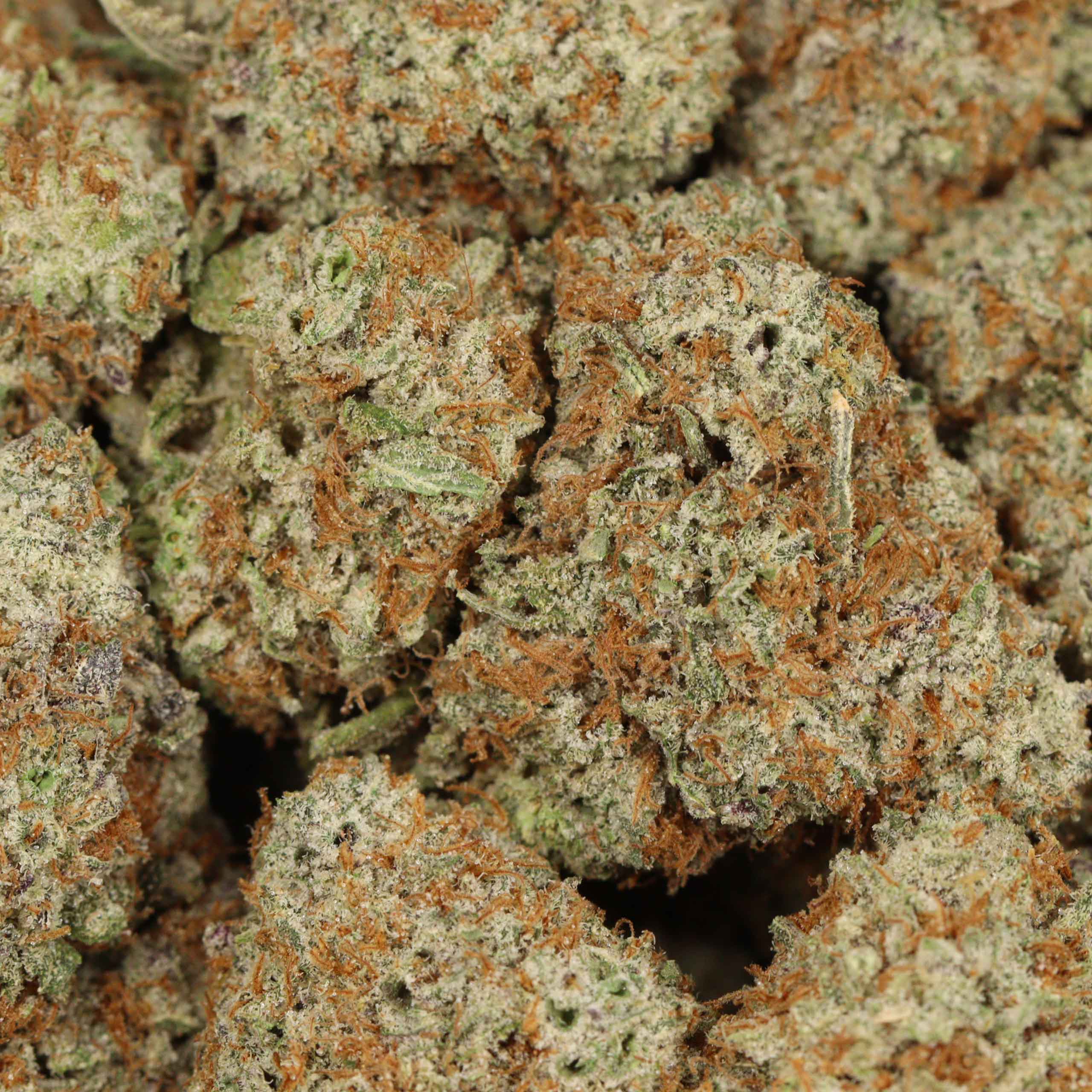 Gorilla Zkittles cannabis