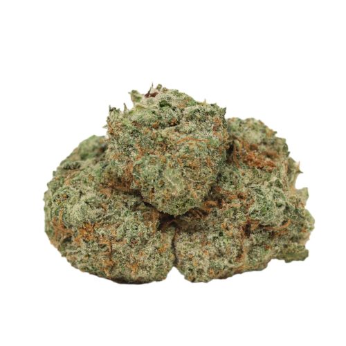 Gorilla Glue #4 strain cannabis