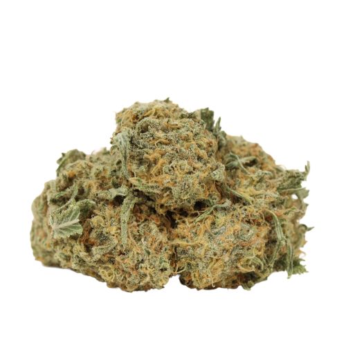 Guava Gelato strain cannabis