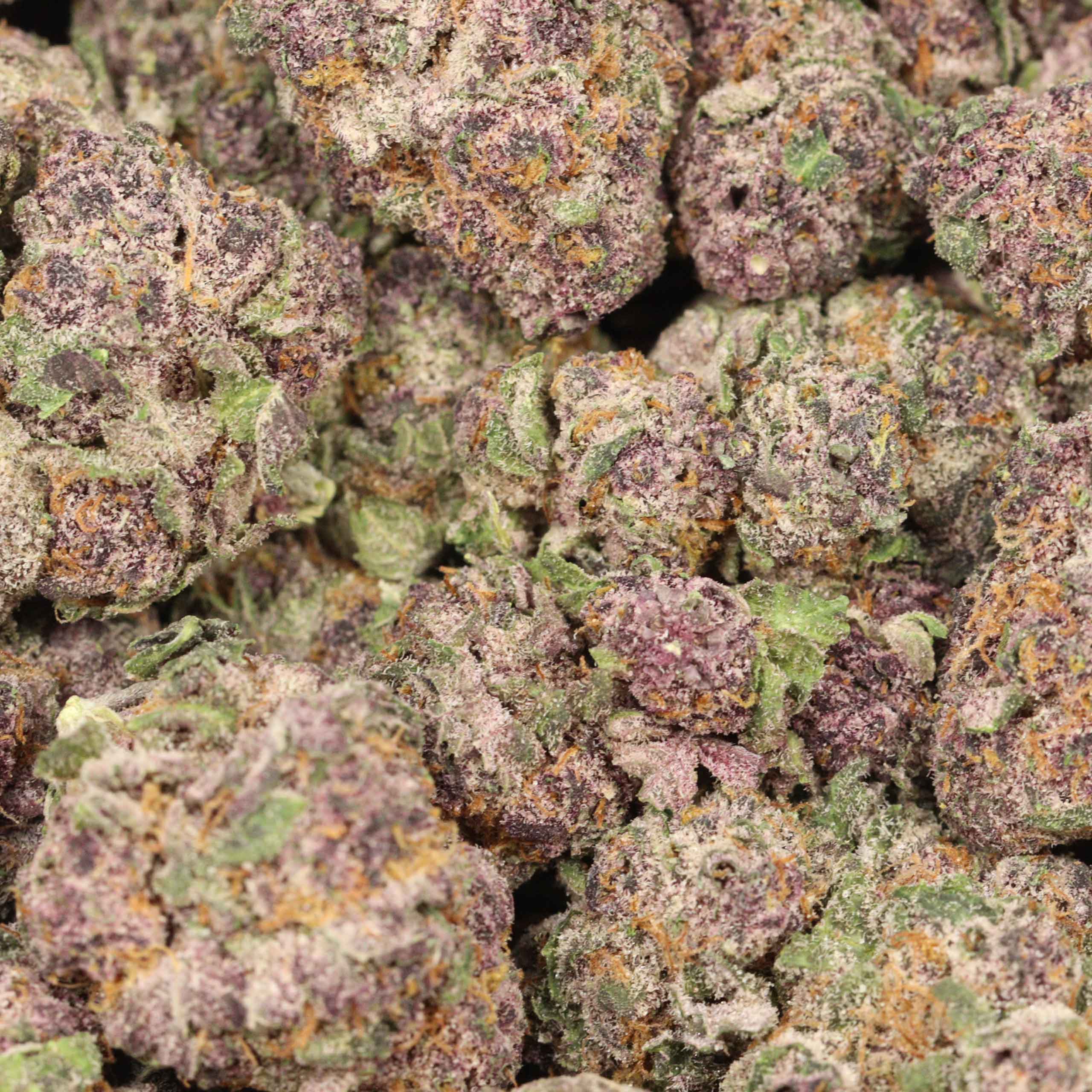 Huckleberry Soda - Image 3