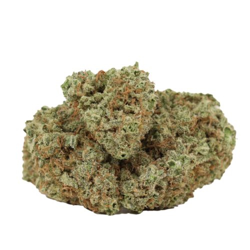 JackFruit strain cannabis