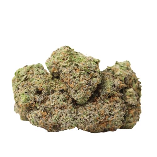 Kombucha craft strain cannabis