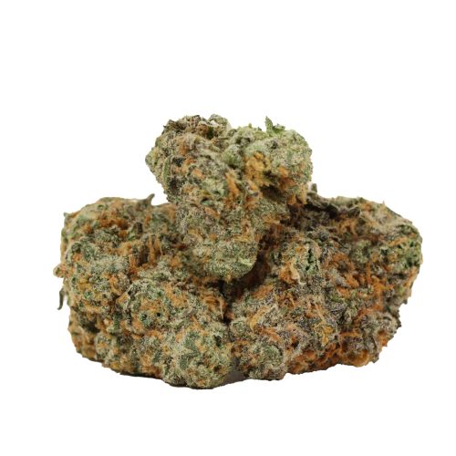 Laughing Buddha strain cannabis
