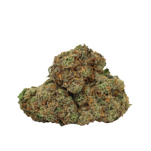 Mataro Blue strain cannabis