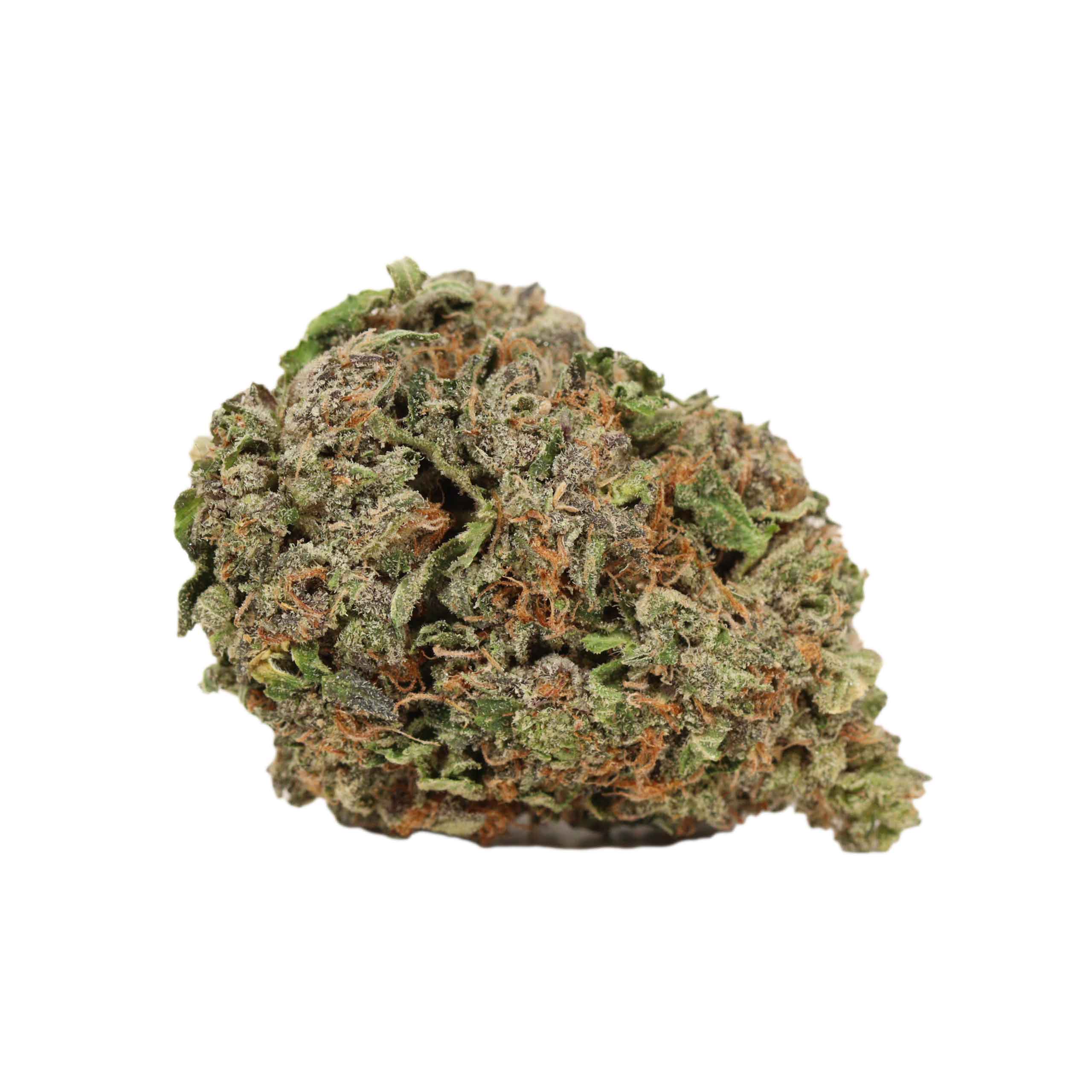 Mike Tyson OG - Image 2