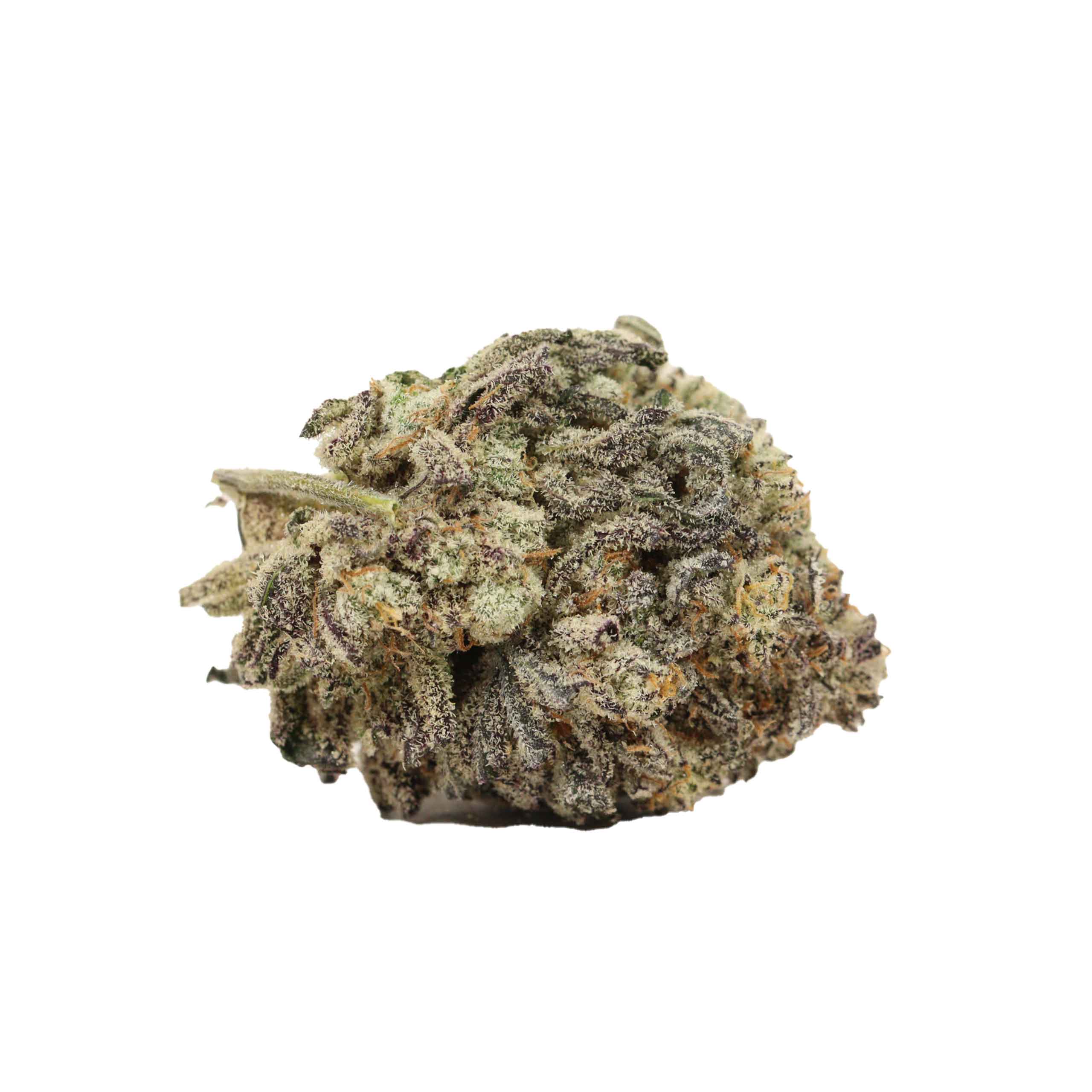 Mimosa - Image 2