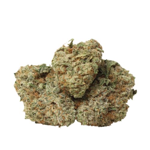 Pineapple Fanta strain cannabis
