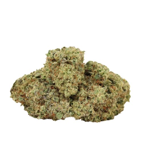 Pineapple Fanta strain cannabis