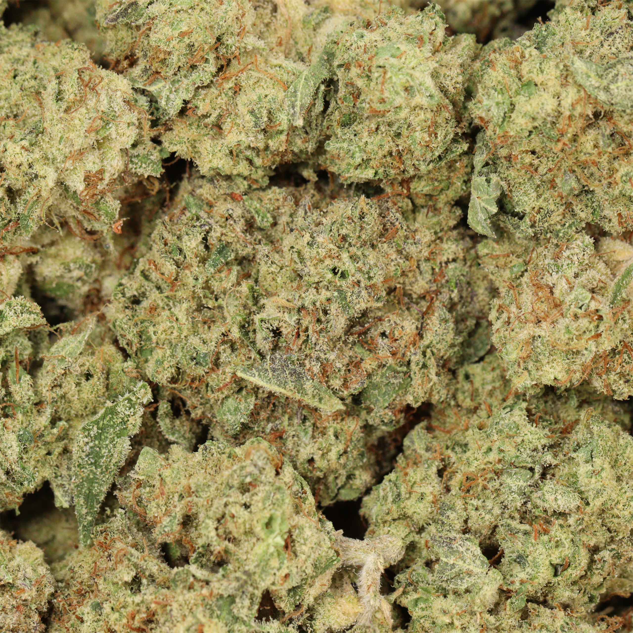 Pineapple Fanta - Image 3
