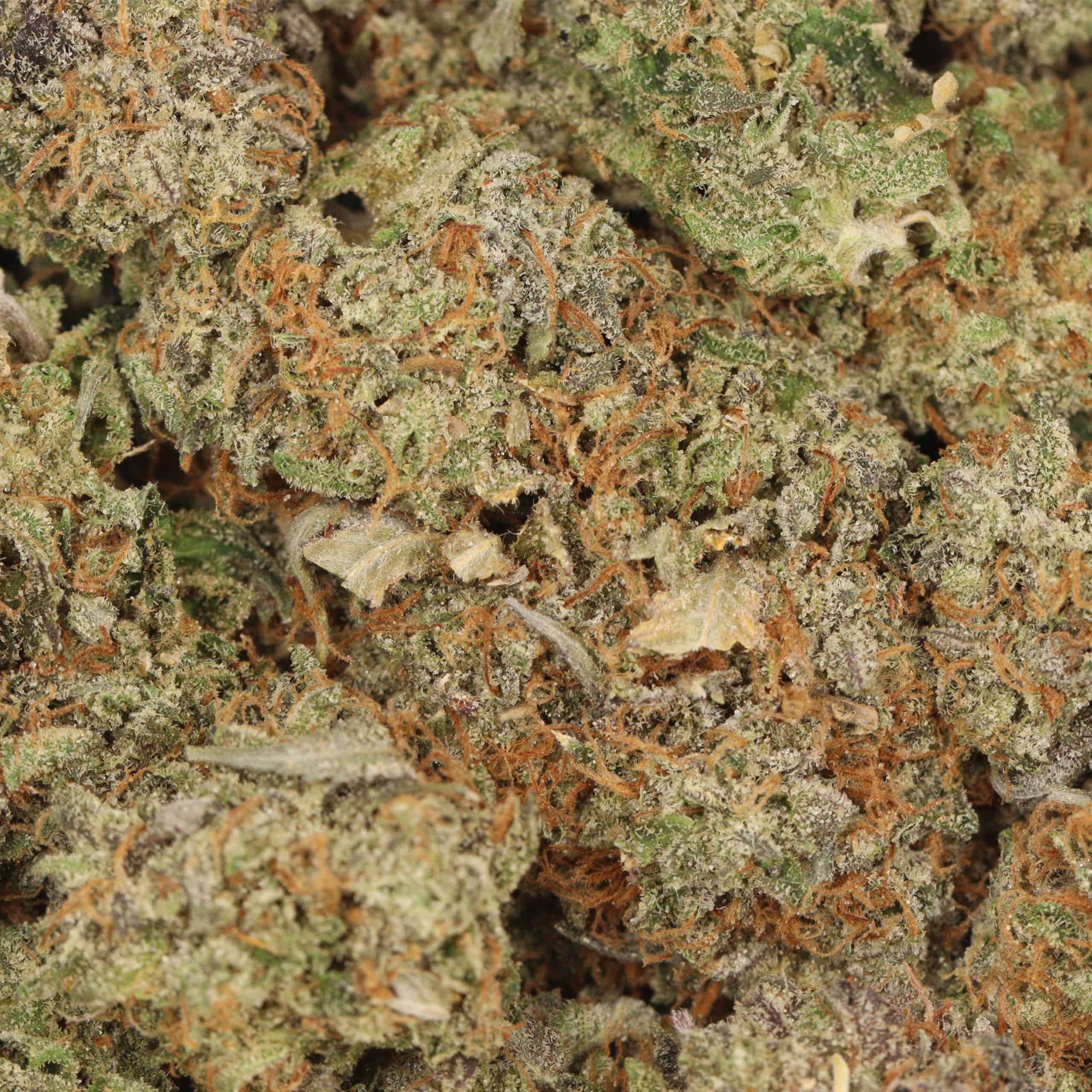 Pink Death cannabis