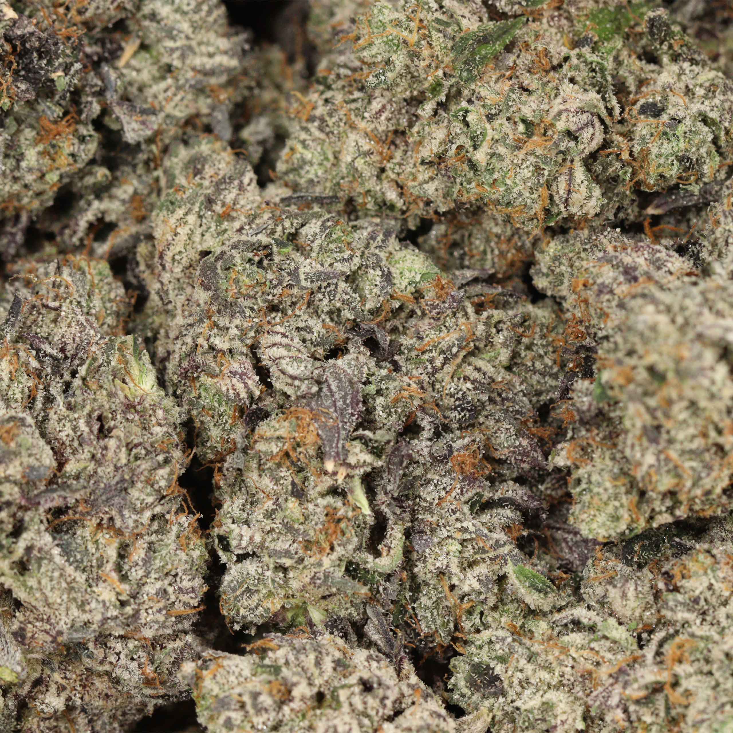 Pink Ferrari Craft cannabis wholesale