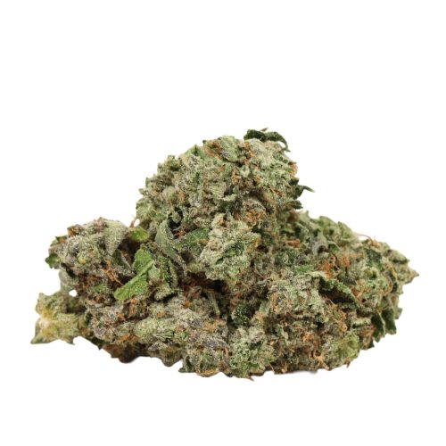 Pink Kush craft strain cannabis