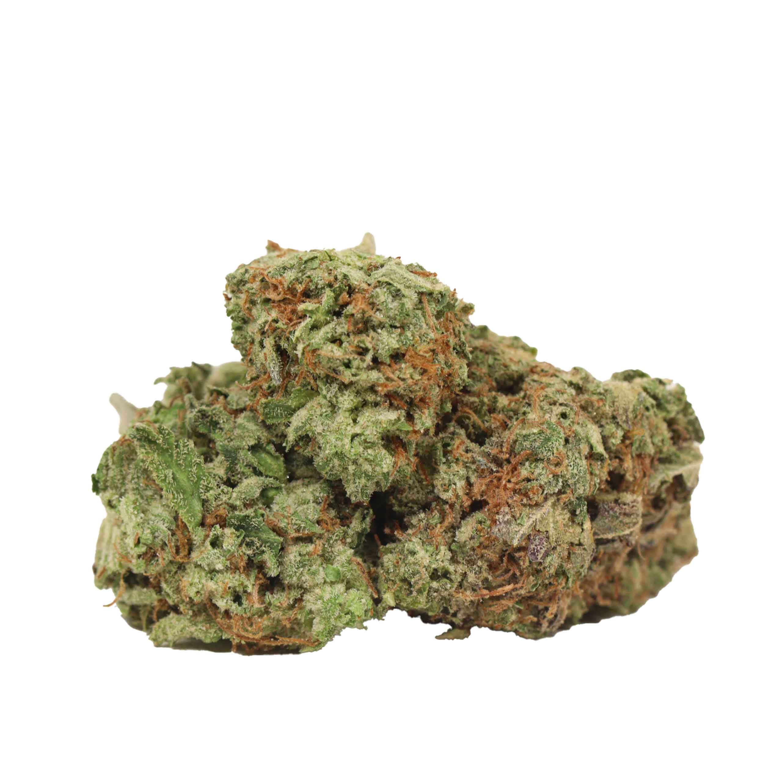 Pink Kush strain cannabis