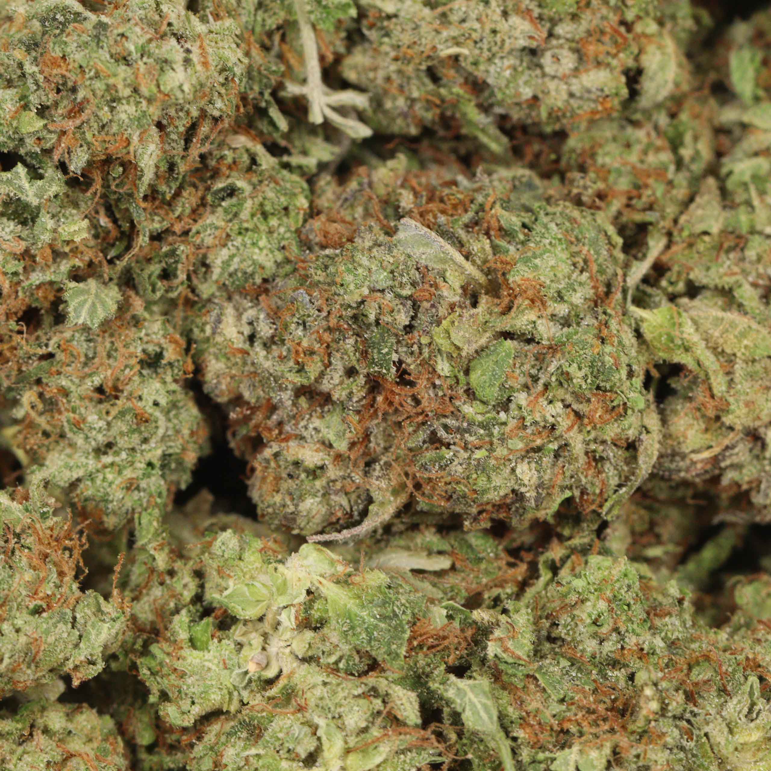Pink Kush - Image 3