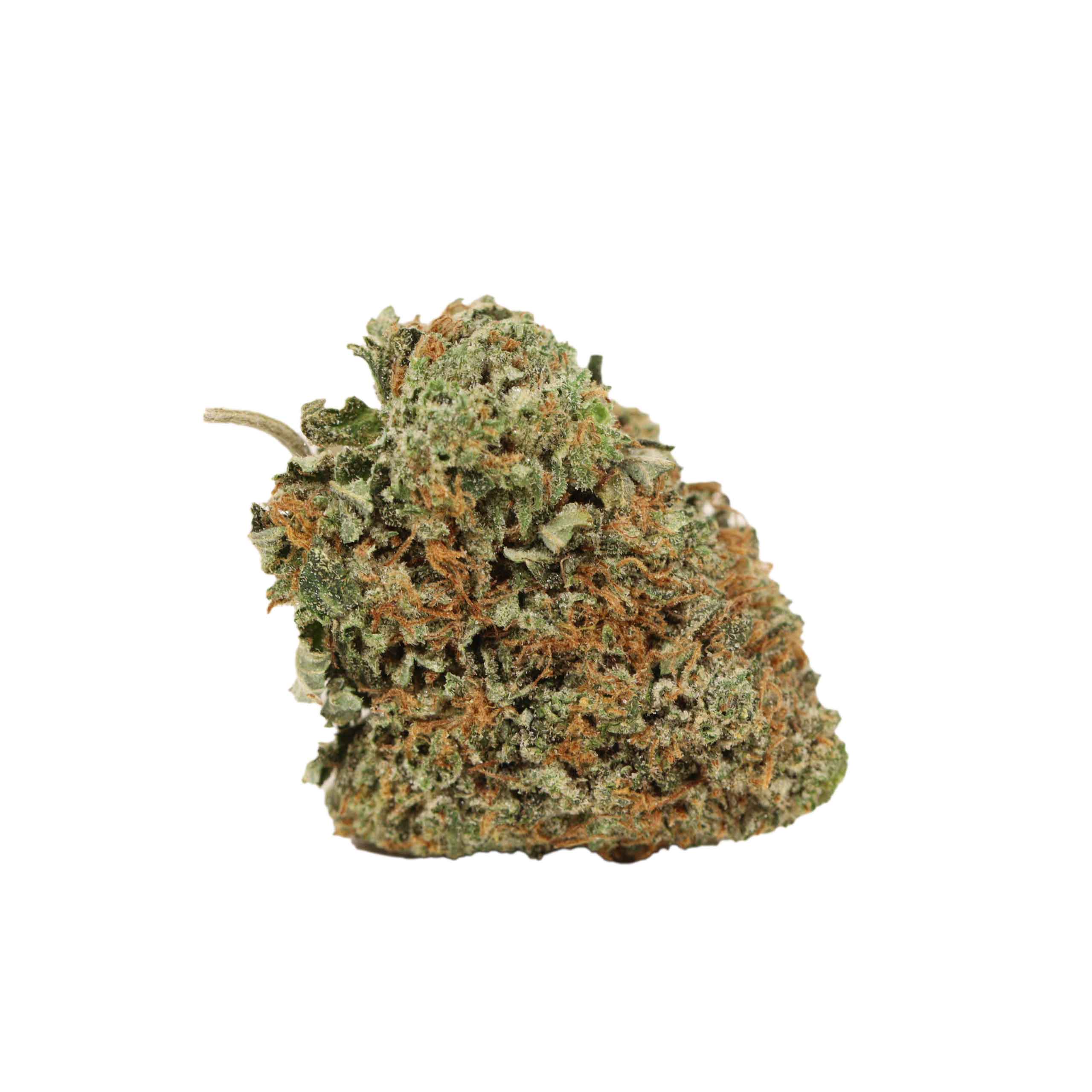 Pink Star - Image 2