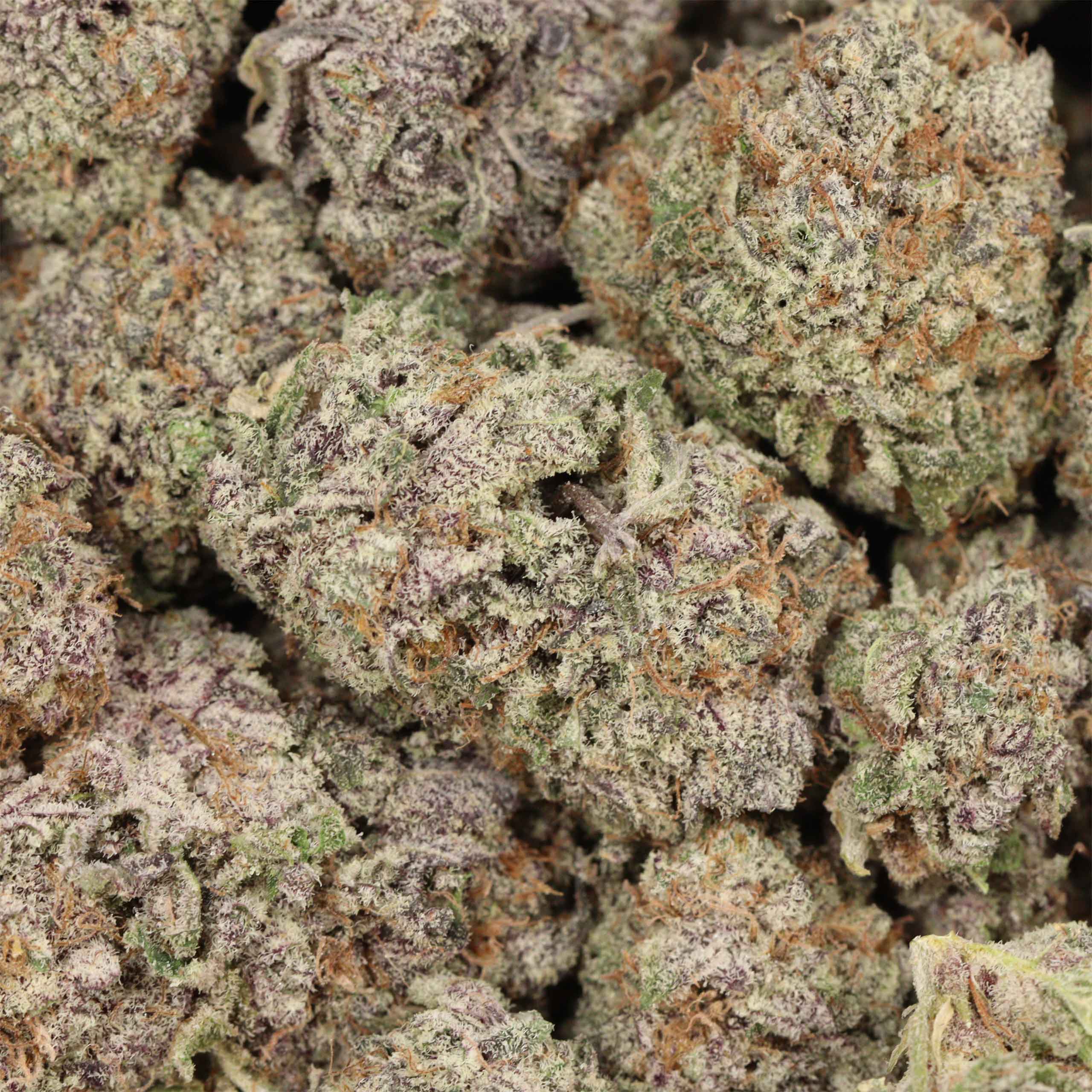 Purple Banana Breath AAAA+ Indica Craft - Image 3