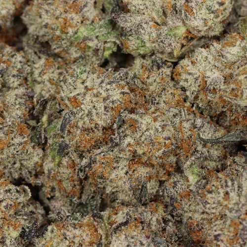 Purple Dank Breath AAAA+ Indica Craft