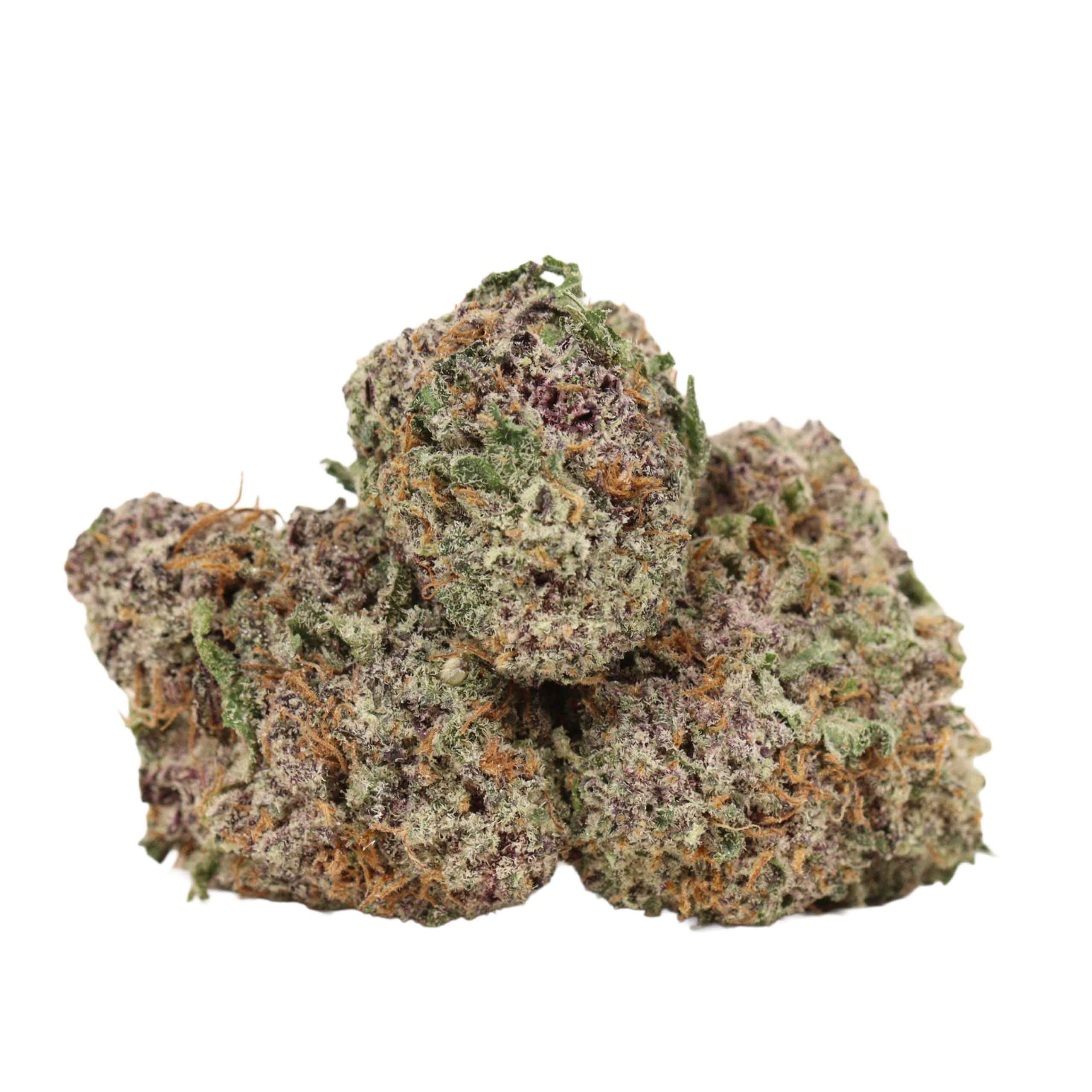 Purple Goo strain cannabis