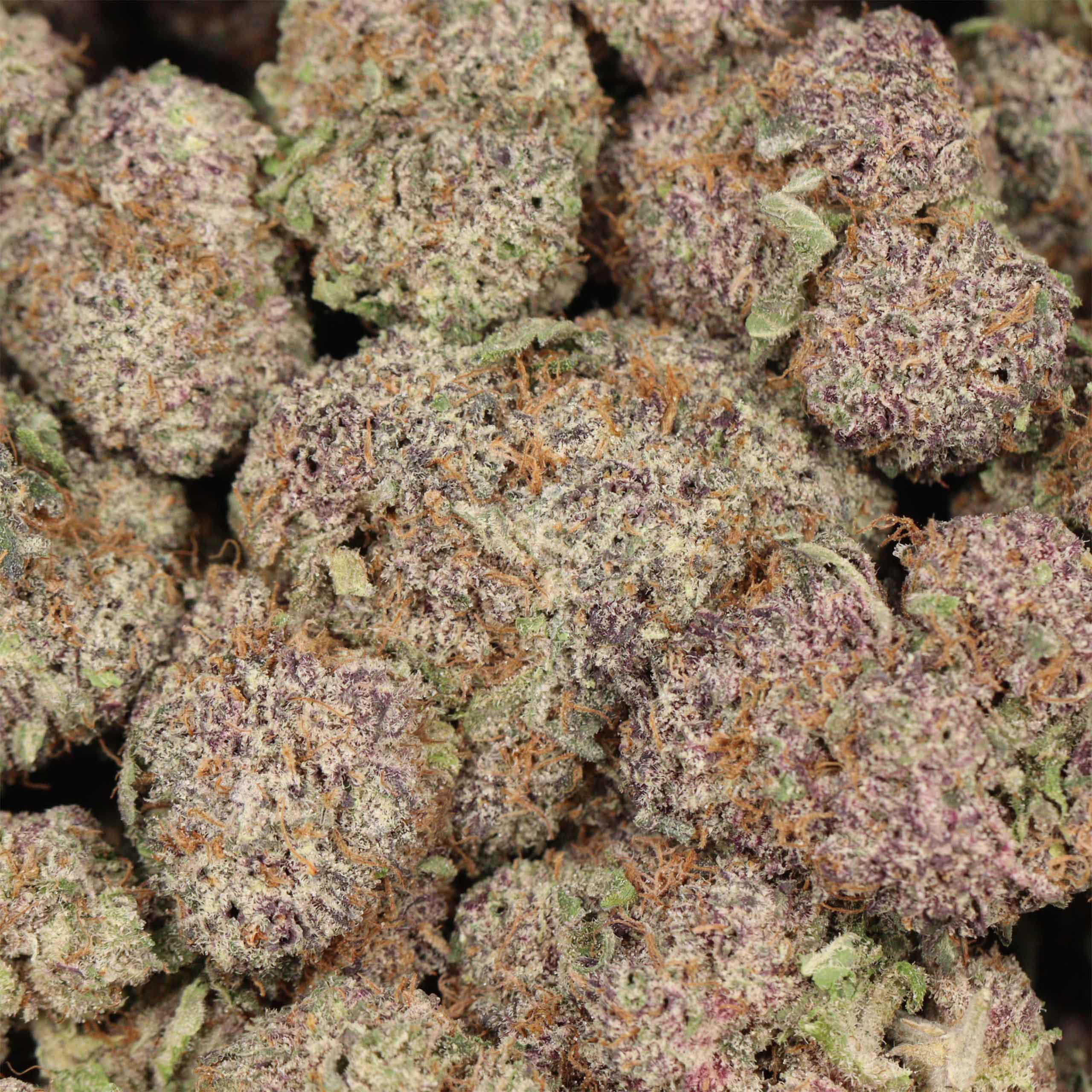 Purple Goo - Image 3