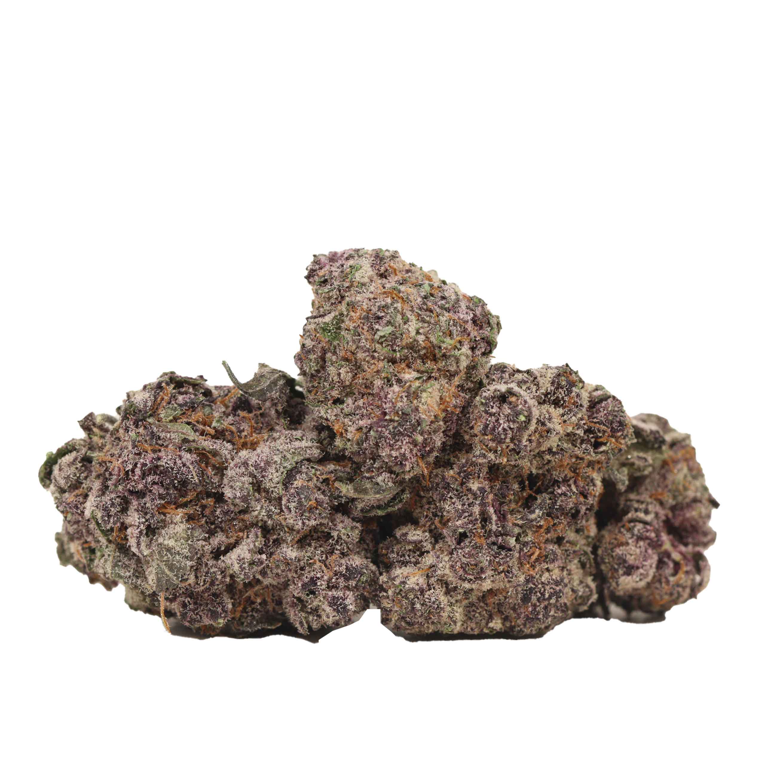 Purple Queen craft strain cannabis