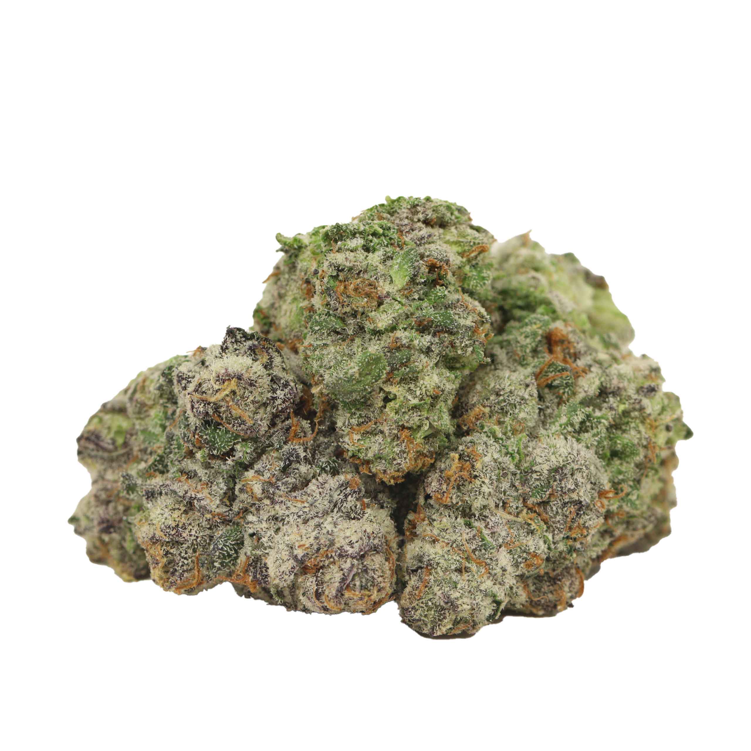 quadzilla craft strain cannabis