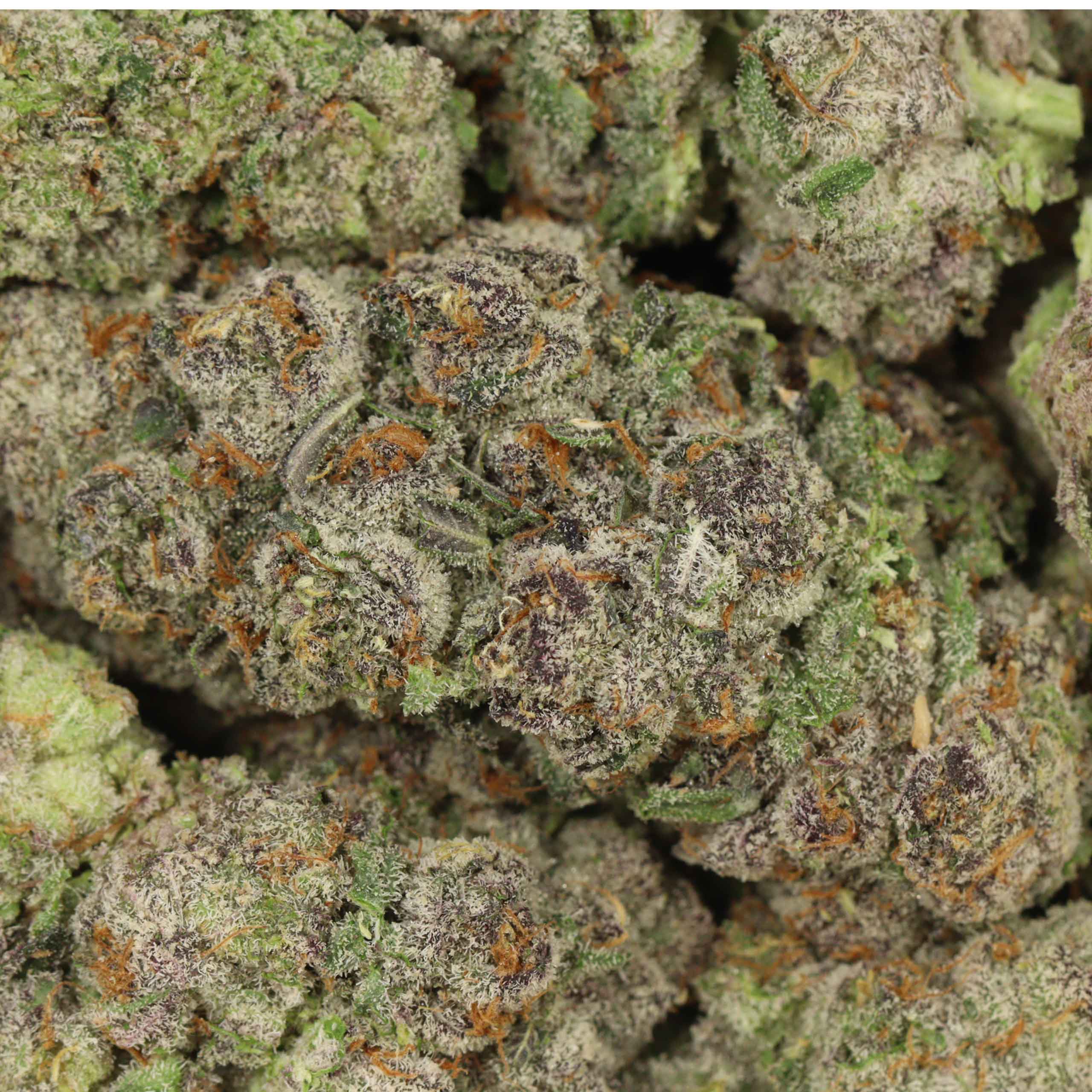 quadzilla craft cannabis